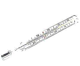 ������� ��������� � ������� �� ���� (8Ojx8+3u6g==)
